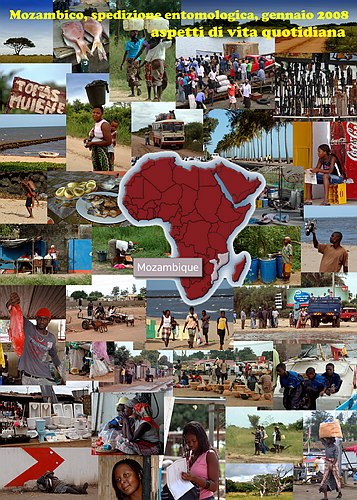 XVIII Settimana della Cultura Scientifica e Tecnologica