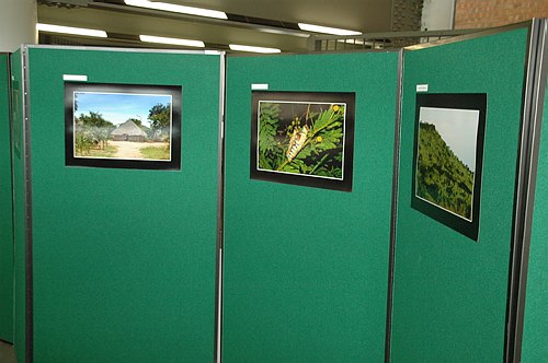 XVIII Settimana della Cultura Scientifica e Tecnologica
