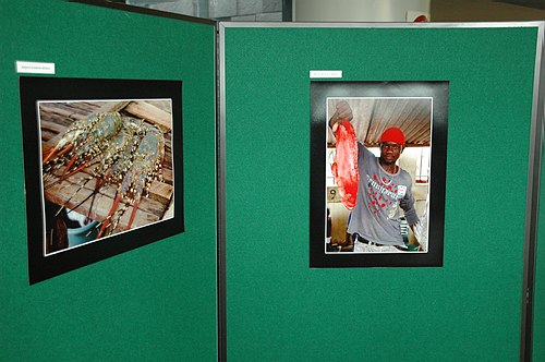 XVIII Settimana della Cultura Scientifica e Tecnologica