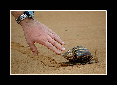 XVIII Settimana della Cultura Scientifica e Tecnologica