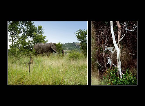 XVIII Settimana della Cultura Scientifica e Tecnologica