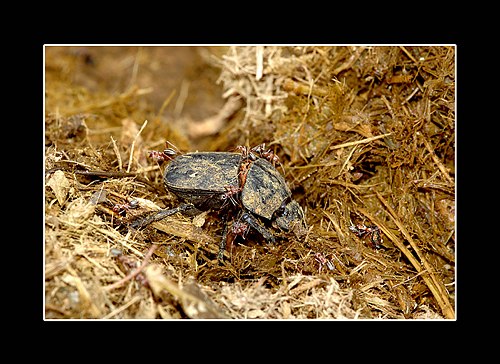 XVIII Settimana della Cultura Scientifica e Tecnologica
