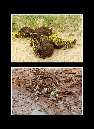 XVIII Settimana della Cultura Scientifica e Tecnologica