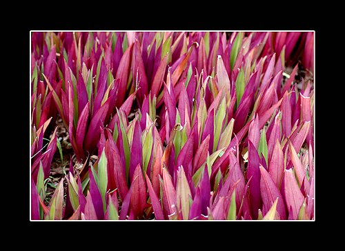 XVIII Settimana della Cultura Scientifica e Tecnologica