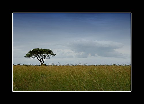 XVIII Settimana della Cultura Scientifica e Tecnologica