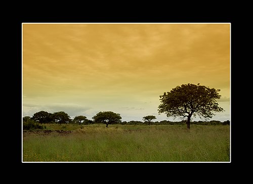 XVIII Settimana della Cultura Scientifica e Tecnologica