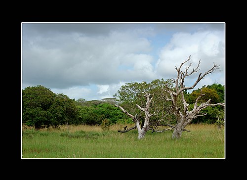 XVIII Settimana della Cultura Scientifica e Tecnologica