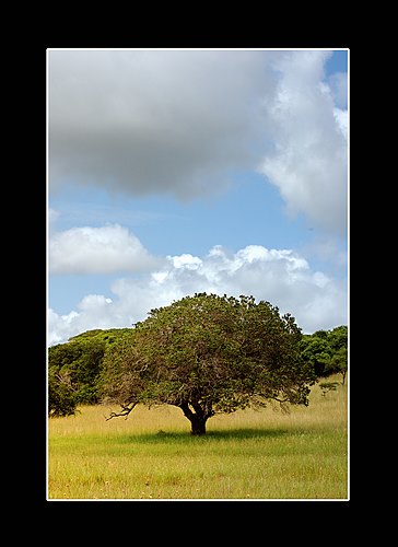 XVIII Settimana della Cultura Scientifica e Tecnologica