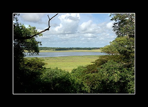 XVIII Settimana della Cultura Scientifica e Tecnologica