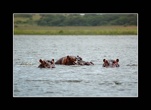 XVIII Settimana della Cultura Scientifica e Tecnologica