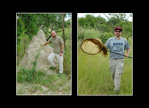 XVIII Settimana della Cultura Scientifica e Tecnologica