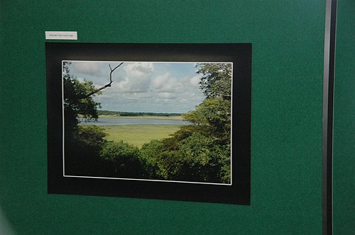 XVIII Settimana della Cultura Scientifica e Tecnologica