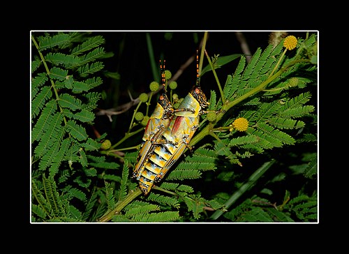 XVIII Settimana della Cultura Scientifica e Tecnologica