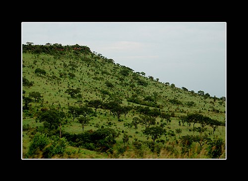 XVIII Settimana della Cultura Scientifica e Tecnologica