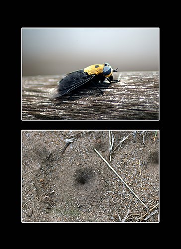 XVIII Settimana della Cultura Scientifica e Tecnologica