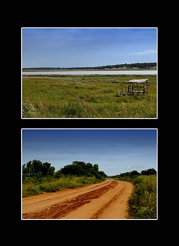 XVIII Settimana della Cultura Scientifica e Tecnologica