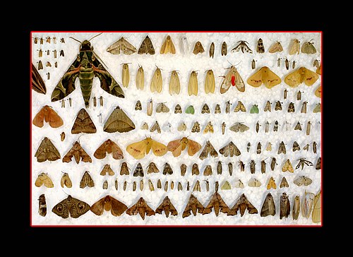 XVIII Settimana della Cultura Scientifica e Tecnologica