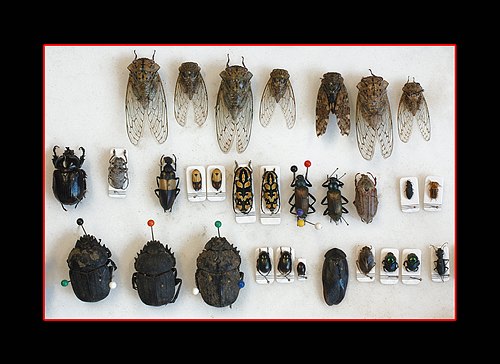 XVIII Settimana della Cultura Scientifica e Tecnologica