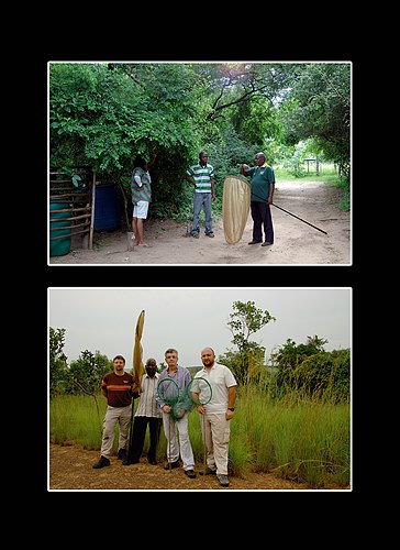 XVIII Settimana della Cultura Scientifica e Tecnologica