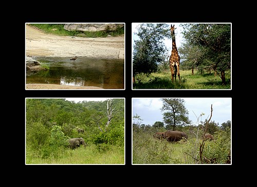 XVIII Settimana della Cultura Scientifica e Tecnologica
