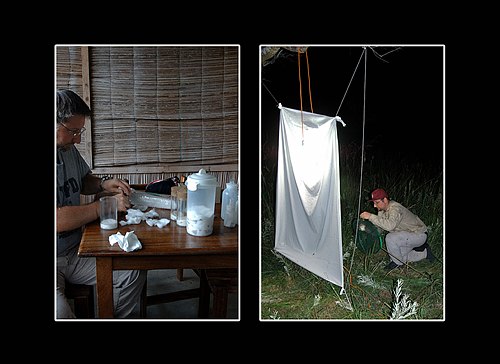 XVIII Settimana della Cultura Scientifica e Tecnologica