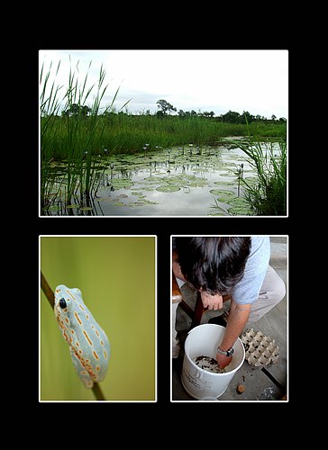 XVIII Settimana della Cultura Scientifica e Tecnologica