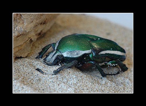 XVIII Settimana della Cultura Scientifica e Tecnologica