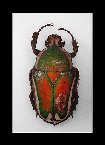 XVIII Settimana della Cultura Scientifica e Tecnologica