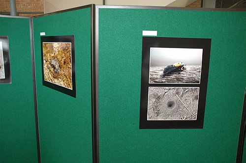 XVIII Settimana della Cultura Scientifica e Tecnologica