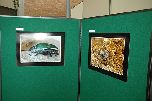 XVIII Settimana della Cultura Scientifica e Tecnologica