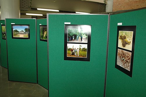 XVIII Settimana della Cultura Scientifica e Tecnologica