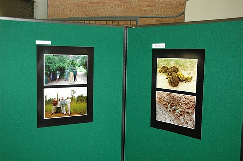 XVIII Settimana della Cultura Scientifica e Tecnologica