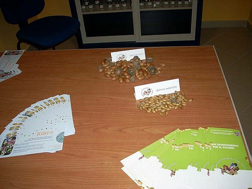 XVIII Settimana della Cultura Scientifica e Tecnologica 