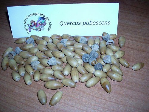 XVIII Settimana della Cultura Scientifica e Tecnologica 