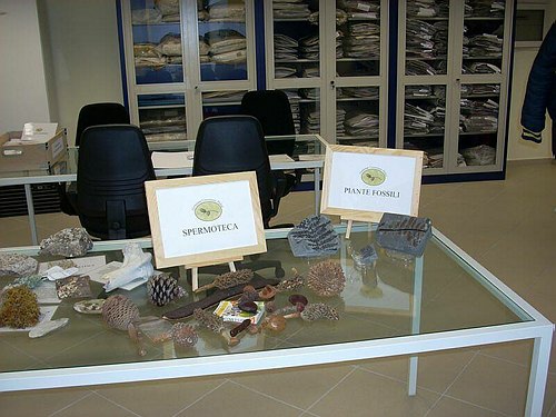 XVIII Settimana della Cultura Scientifica e Tecnologica