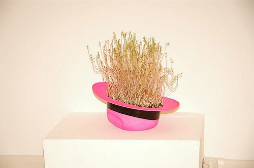 L�Unimol incontra le scuole