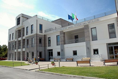 Cerimonia di inaugurazione