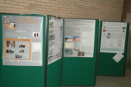 Universit� degli Studi del Molise