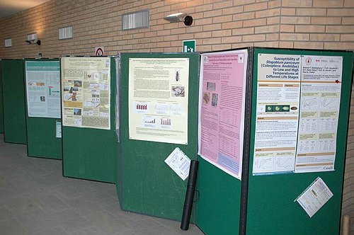 Universit� degli Studi del Molise