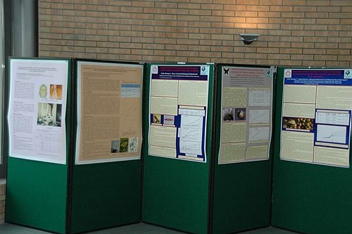 Universit� degli Studi del Molise