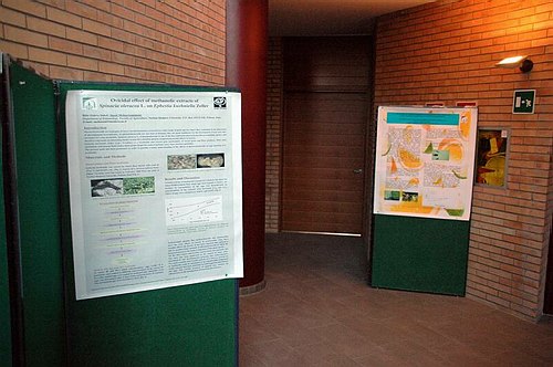 Universit� degli Studi del Molise