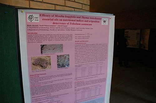 Universit� degli Studi del Molise