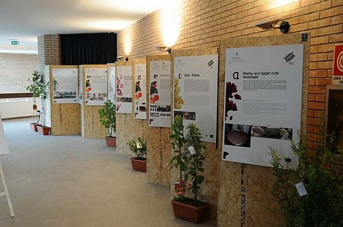 Universit� degli Studi del Molise