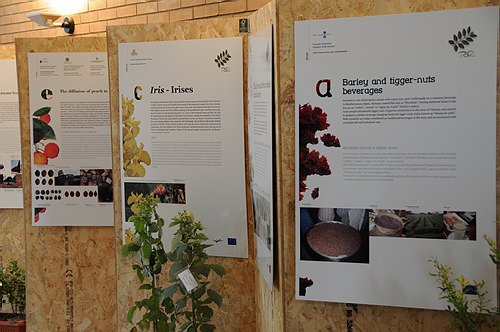 Universit� degli Studi del Molise