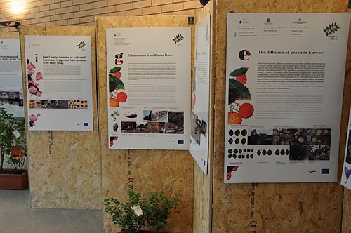 Universit� degli Studi del Molise