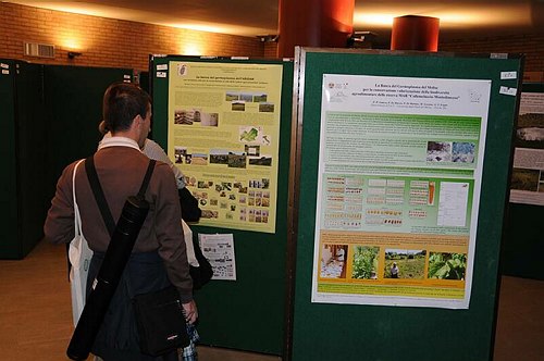 Universit� degli Studi del Molise