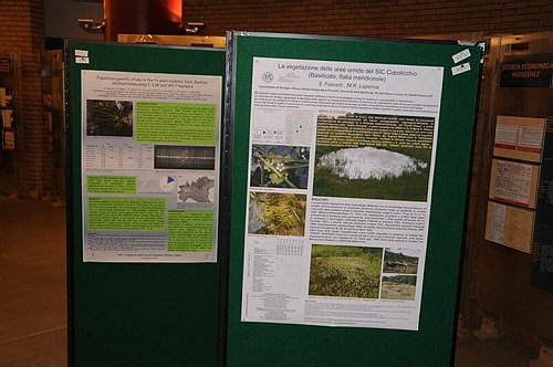 Universit� degli Studi del Molise