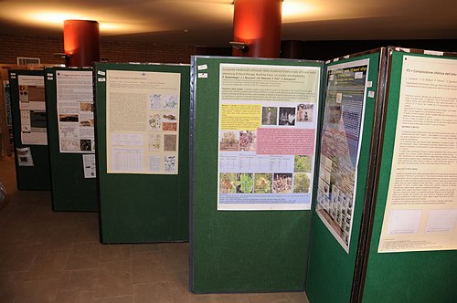 Universit� degli Studi del Molise