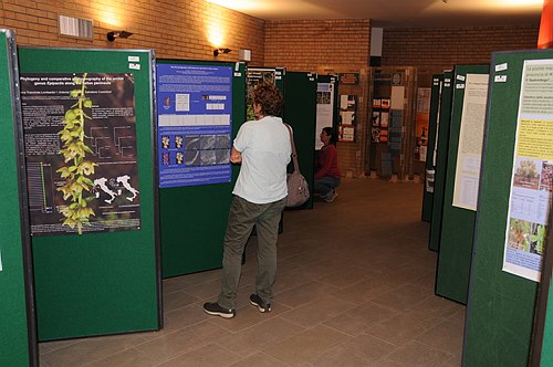 Universit� degli Studi del Molise