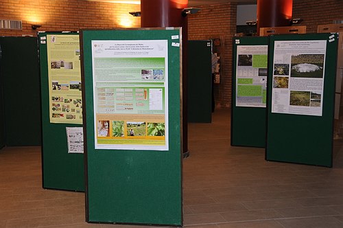 Universit� degli Studi del Molise